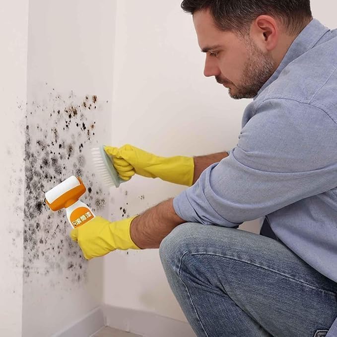 2-in-1 Wall Repair Roller | Wall Paint Roller Brush Exterior and Interior Brushes 2-in-1 Wall Repair Roller