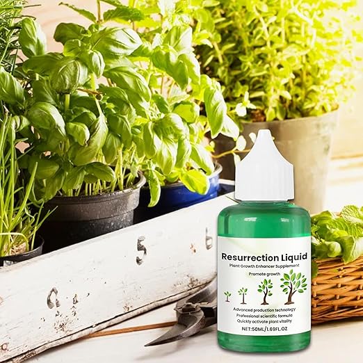 Resurrection Liquid for Plants (Set of 2)