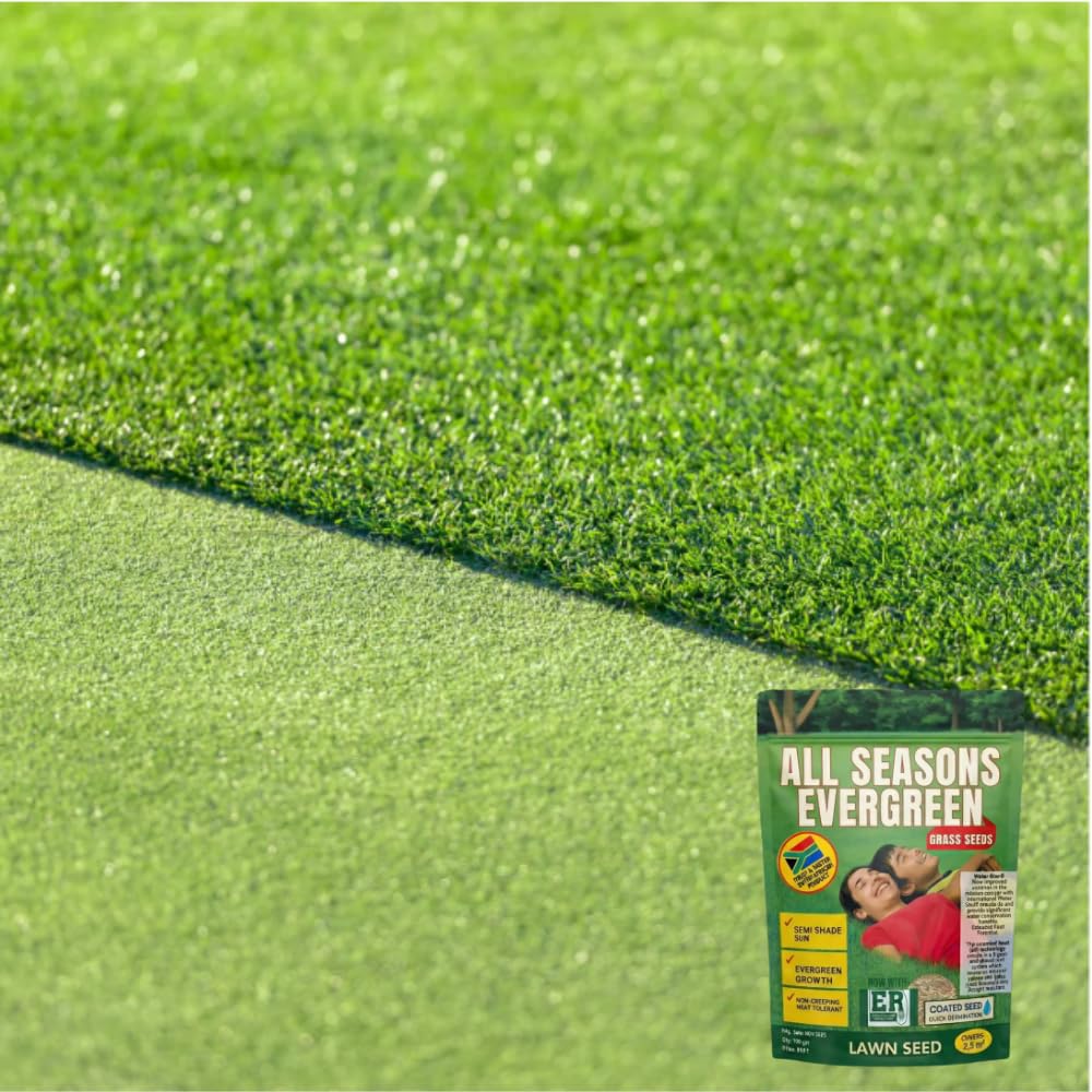 Grassonix All Seasons Grass Seeds (Set of 2)