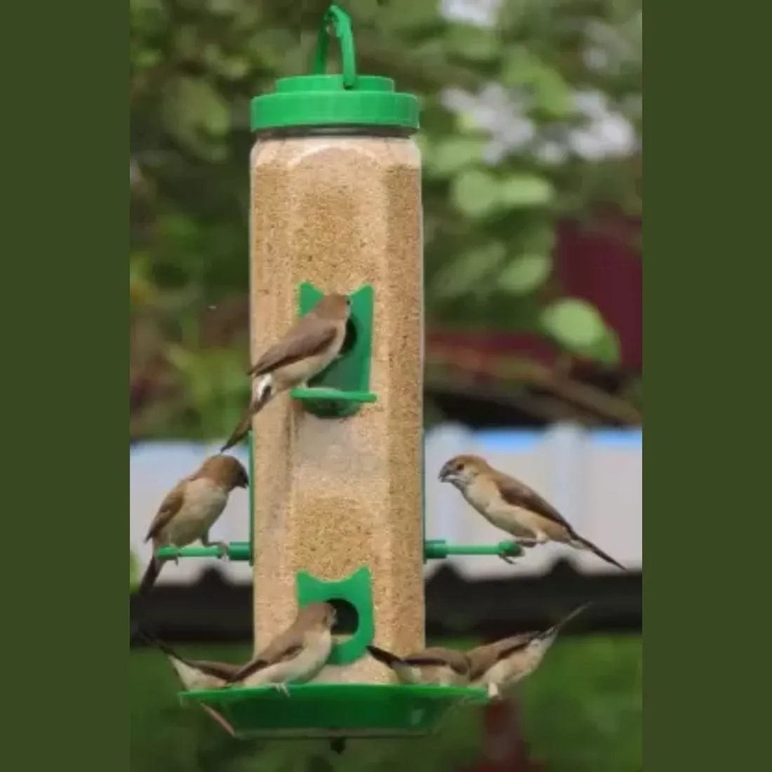 Bird Feeder | Houses For Birds Bird Food Water Feeder Pigeon Food Seed Bird Feeder
