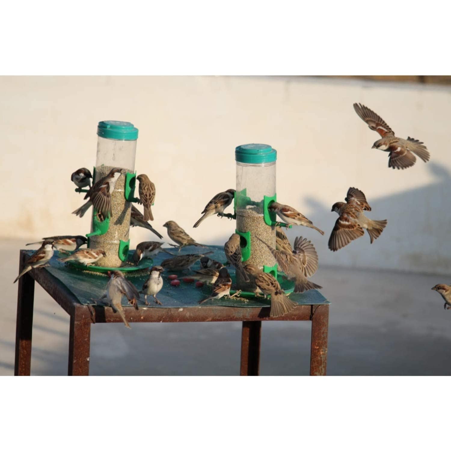 Bird Feeder | Houses For Birds Bird Food Water Feeder Pigeon Food Seed Bird Feeder