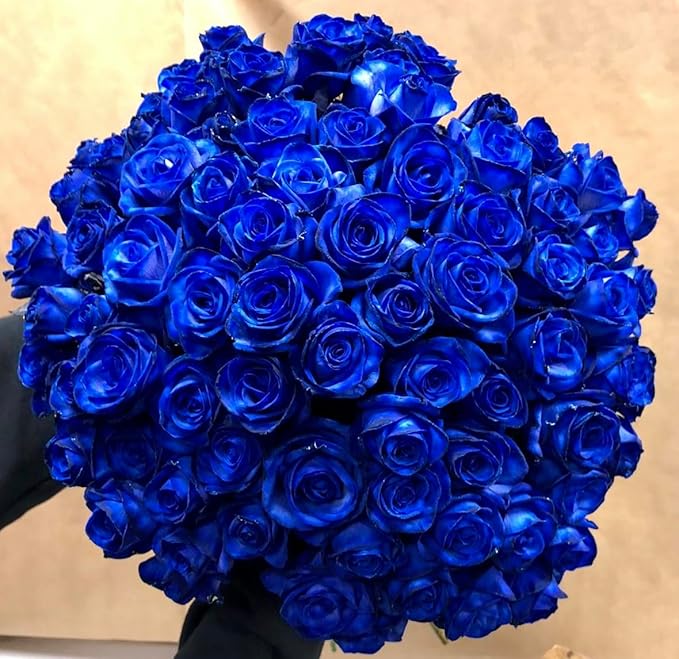 Blue Rose Seeds | Flower Seeds Rose Plant Lotus Seed Flowering Blue Rose Plant Blue Rose Seeds (Pack of 20 seeds)