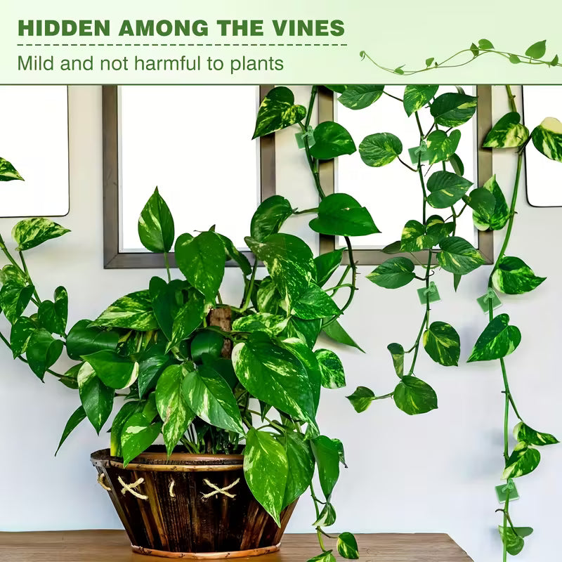 Plant Fixing Clips (Set of 60)