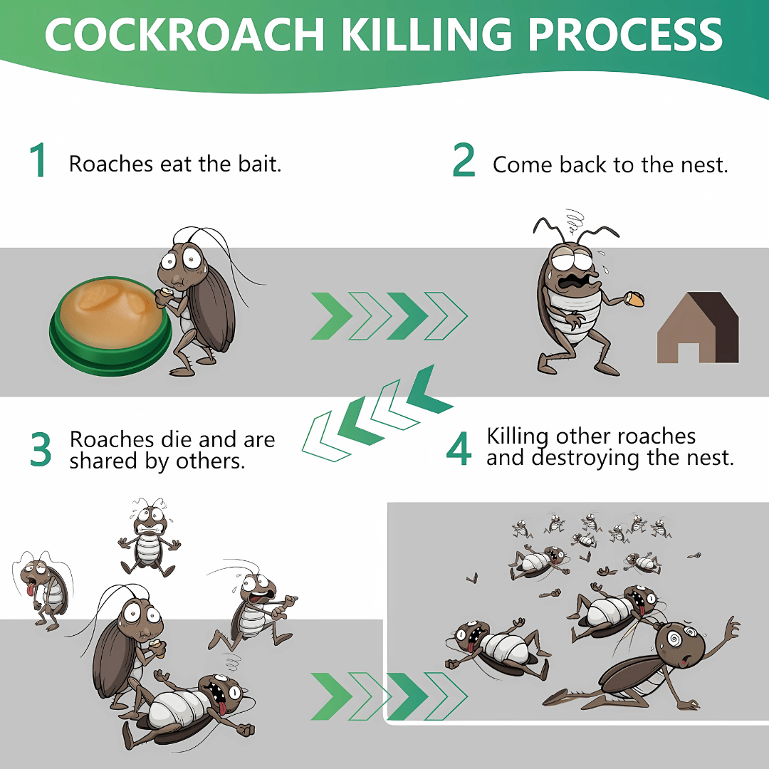 Cockroach Repellant Gel (Pack of 2) | Cockroach Killer Gel Spray At Home Cockroach Infestation Bait Cockroach Repellant Gel (Pack of 24 pcs)