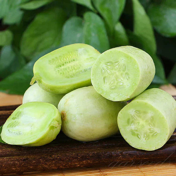 Cucumber Seeds | Jade Plant Succulent Plants Garden Planting Cucumber Seeds Plant Grow - Cucumber Seeds (Pack of 10)