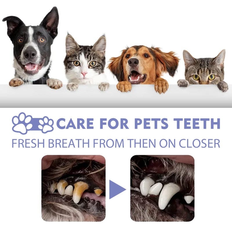 Dogs And Cats Spray Dental Care Dog Mouth Spray Teeth Cleaner - Pet Teeth Cleaning Spray Pet Teeth Cleaning Spray