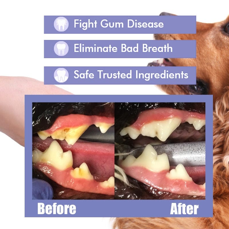 Dogs And Cats Spray Dental Care Dog Mouth Spray Teeth Cleaner - Pet Teeth Cleaning Spray Pet Teeth Cleaning Spray