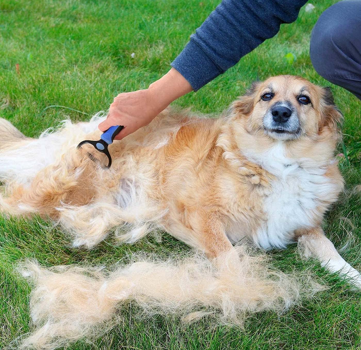 Doromixo | Pet Store Dog Cat Grooming Comb Brushes Hair Brush Doromixo 2-in-1 Pet Grooming Tool