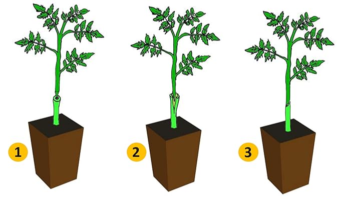 Grafting Tool Kit | Garden Tool Set Tree Cutters Grafting Plants Fruit Pruning Scissors - Pruning Tools - Grafting Tool Kit