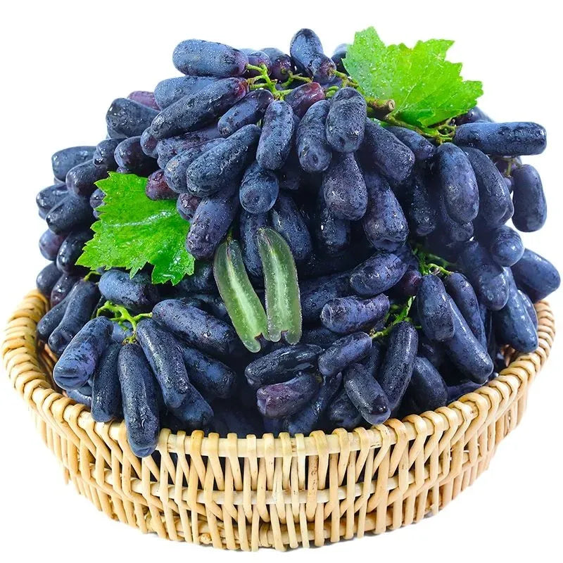 Premium High-Yield Blue Grape Seeds (100gms)