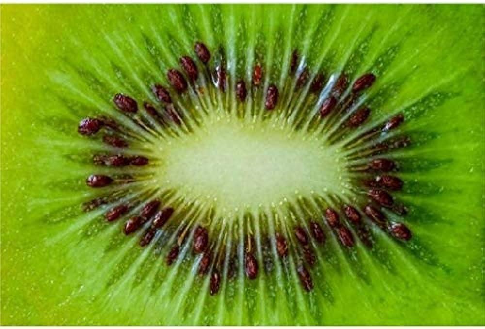 Kiwi Fruit Seeds | Kiwi Plant Planting Home For Gardening Home Garden Seeds Flower Kiwi Fruit Seeds