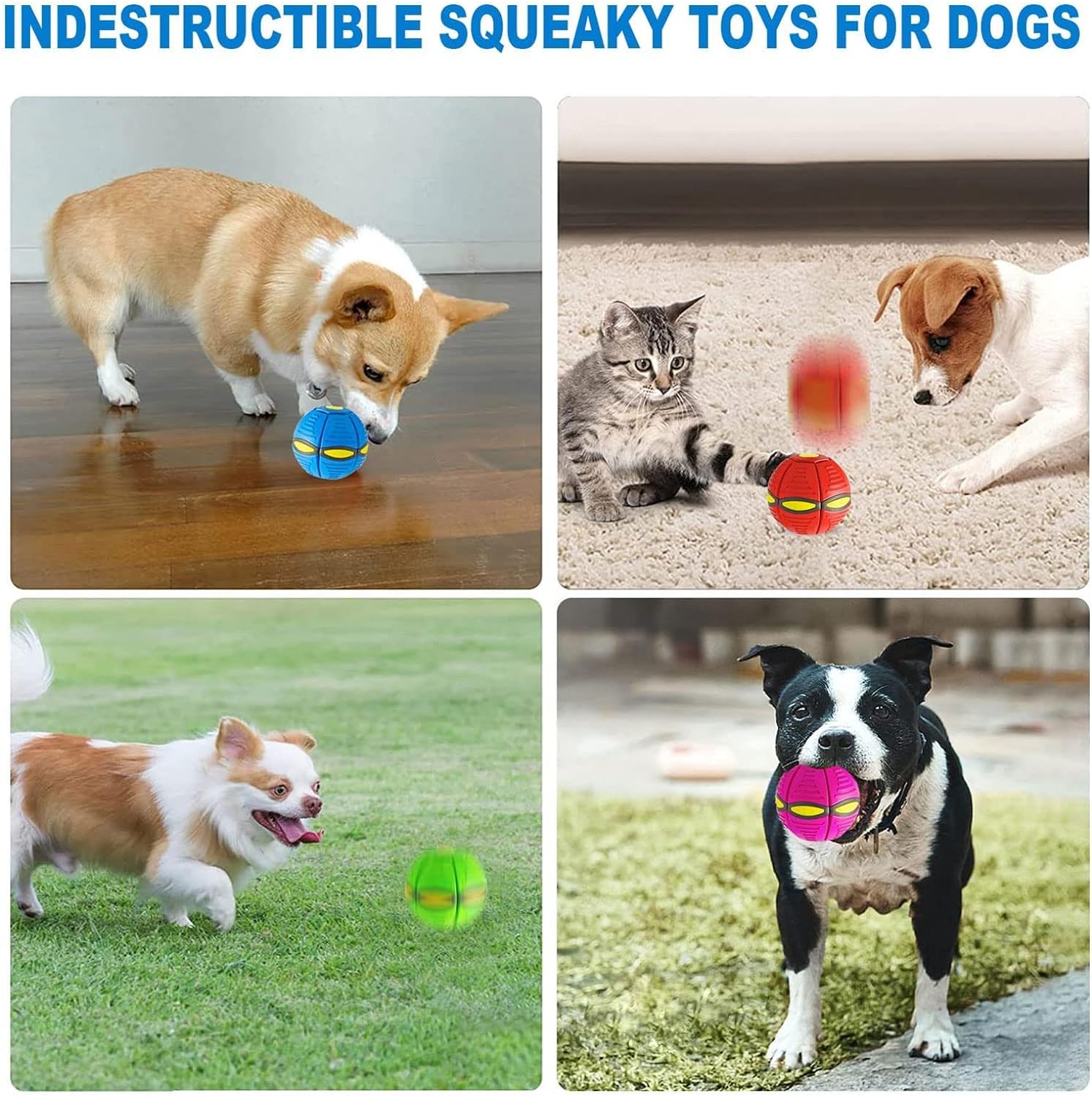 Magic Ball Toy For Pet | Shop Pet Dog Cat Playing Toys Accessories Games Dog Gift Magic Ball Toy For Pet