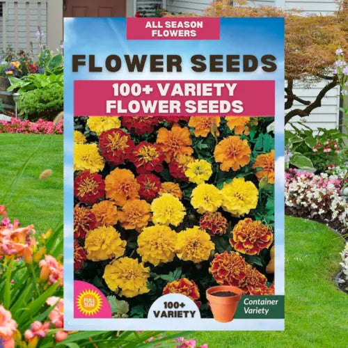 Mixed Flower Seeds (pack Of 100) | Sun Flower Seeds Daisy Flower Flowering Plants Germination Of Seed - Mixed Flower Seeds (pack Of 100) (Pack of 100 Seeds)