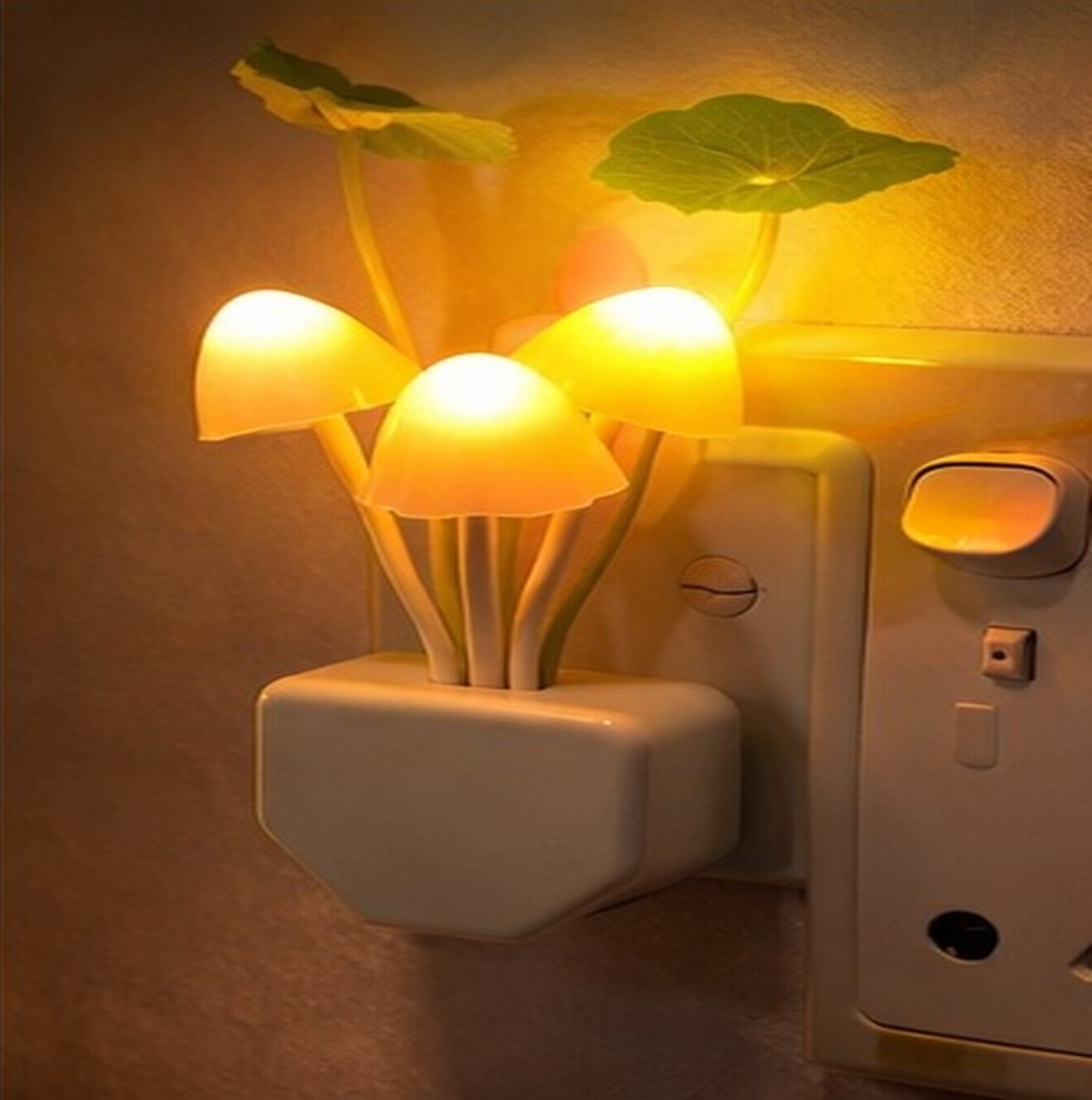MoonMushroomy Auto Sensor Light (Set of 2)