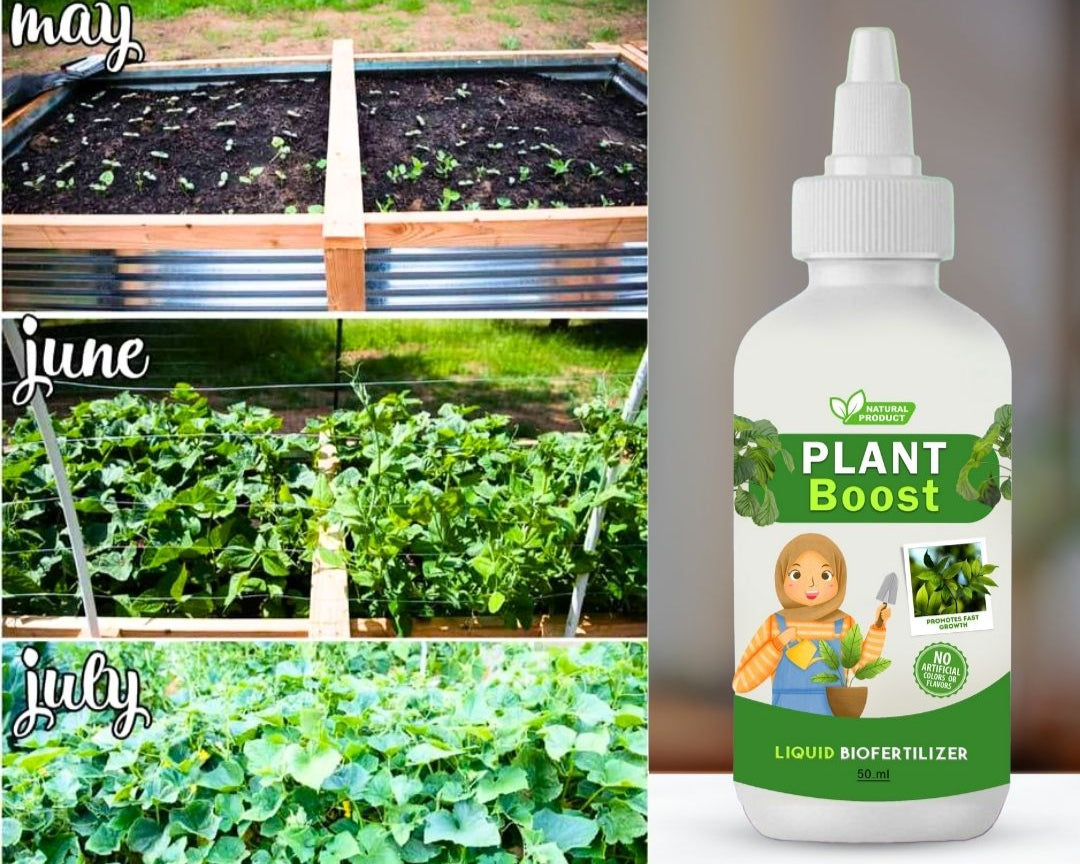 Organic Plant Booster (Pack of 4) | Garden Plants Flower Plant Booster Organic Plant Growth Booster - Organic Plant Booster (Pack of 4)