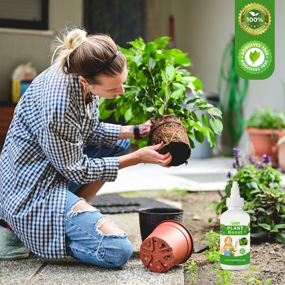 Organic Plant Booster (Pack of 4) | Garden Plants Flower Plant Booster Organic Plant Growth Booster - Organic Plant Booster (Pack of 4)