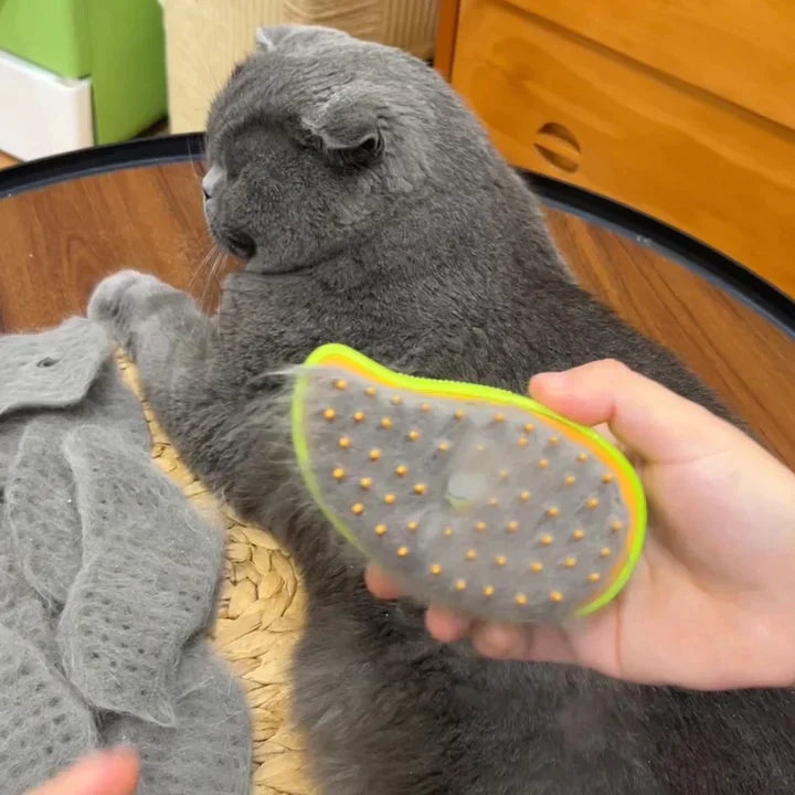 Pet Hair Steam Brush | Pet Grooming Store Cat Brush Comb Dog Hair Brushes Pet Supplies Groom - Pet Hair Steam Brush