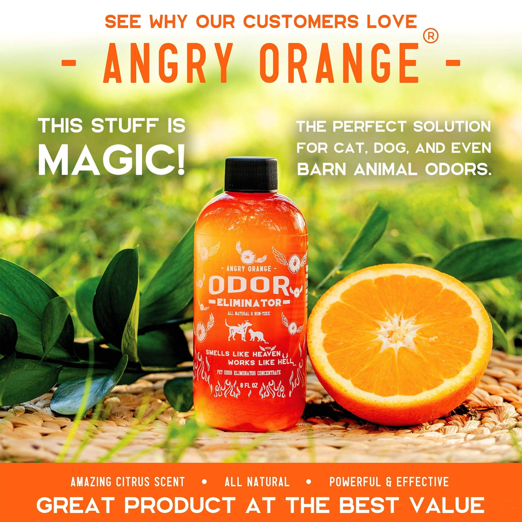 Pet Odor Spray (Pack of 2) | Spray Bottle Odor Control Remover Dog Pee Smell Eliminator - Pet Odor Spray (Pack of 2)