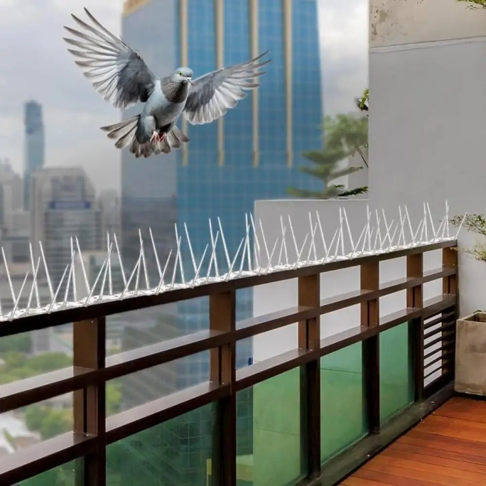 Pigeon Control Spikes (Set of 10) | Bird Spikes Pigeon Antibird Spike Birds Repellent Strikes Pigeon Control Spikes (Set of 10)
