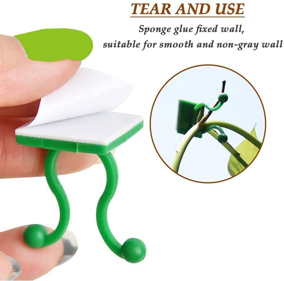 Plant Fixing Clips (Set of 60) | Climbing Plant Creeper Green House Succulent Plants Planter Plant Fixing Clips (Set of 60)