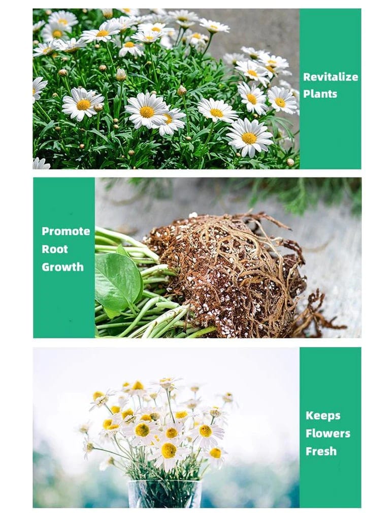 Plant Nutrients Hormone Fertilizers Growth Regulators In Plant - Plant Growth Enhancer Plant Growth Enhancer