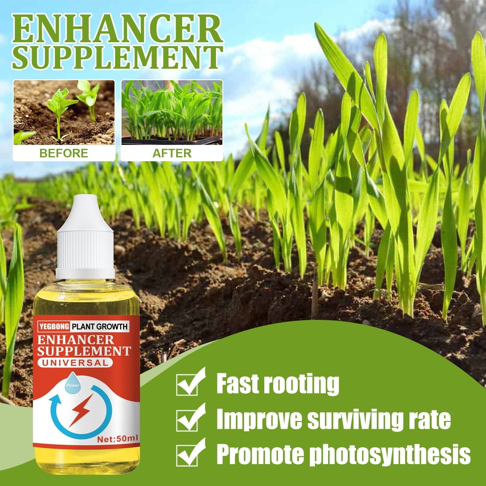 Plant Nutrients Hormone Fertilizers Growth Regulators In Plant - Plant Growth Enhancer Plant Growth Enhancer
