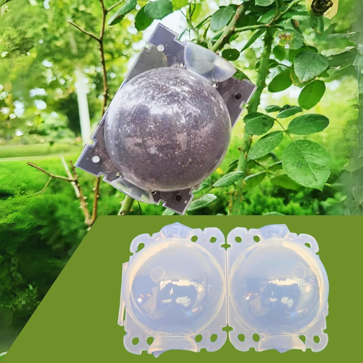 Plant Rooting Balls (Pack of 5 with Free Pot mix) | Vegetable Seeds Flower Grow Bags Tools For Gardening Fertilizer Plant - Plant Rooting Balls (Pack of 5 with Free Pot mix)