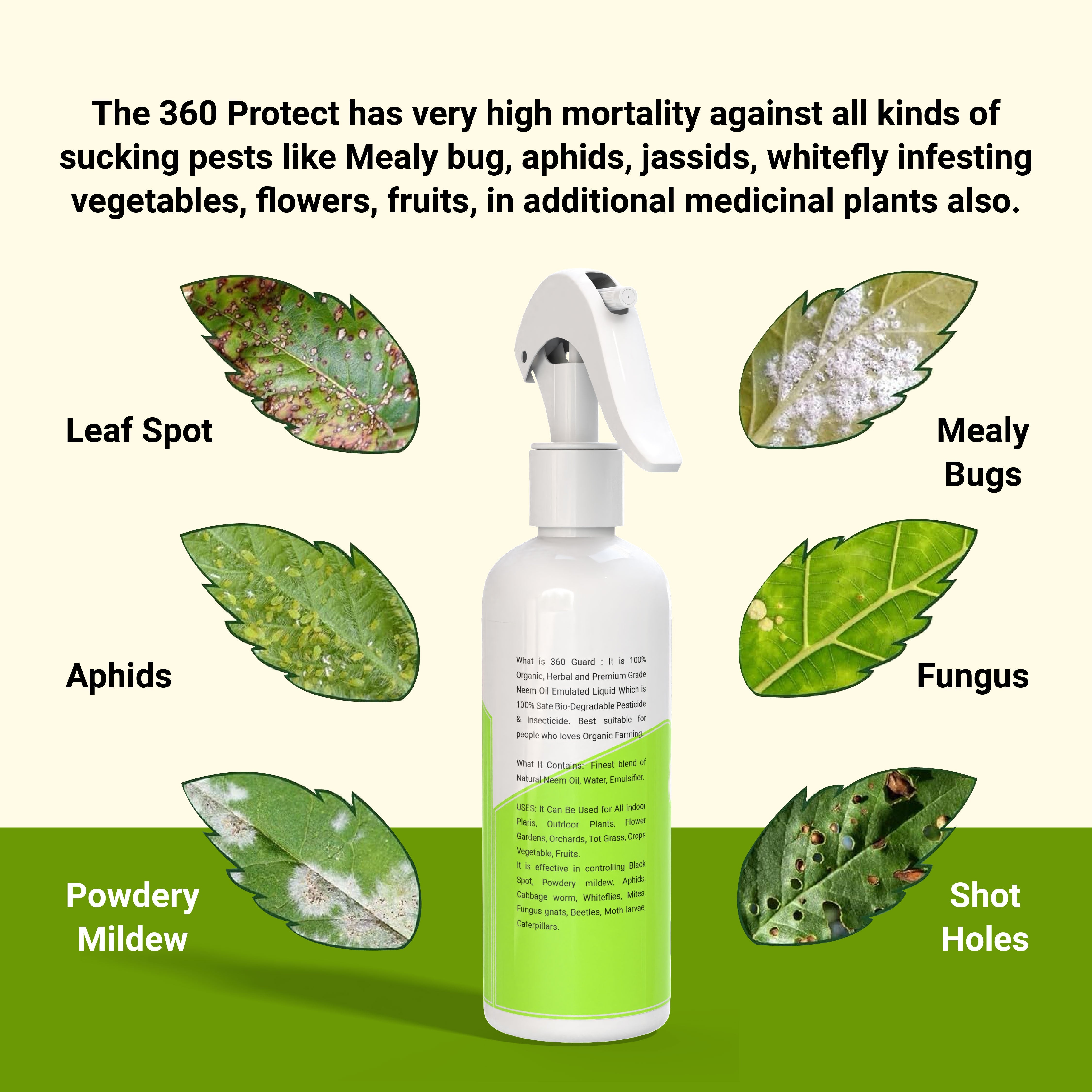 Pure Neem Plant Protection Spray (Pack of 2) | Neem Oil Succulent Plants Herb Plant Trees Plant Protection spray - Pure Neem Plant Protection Spray (Pack of 2)