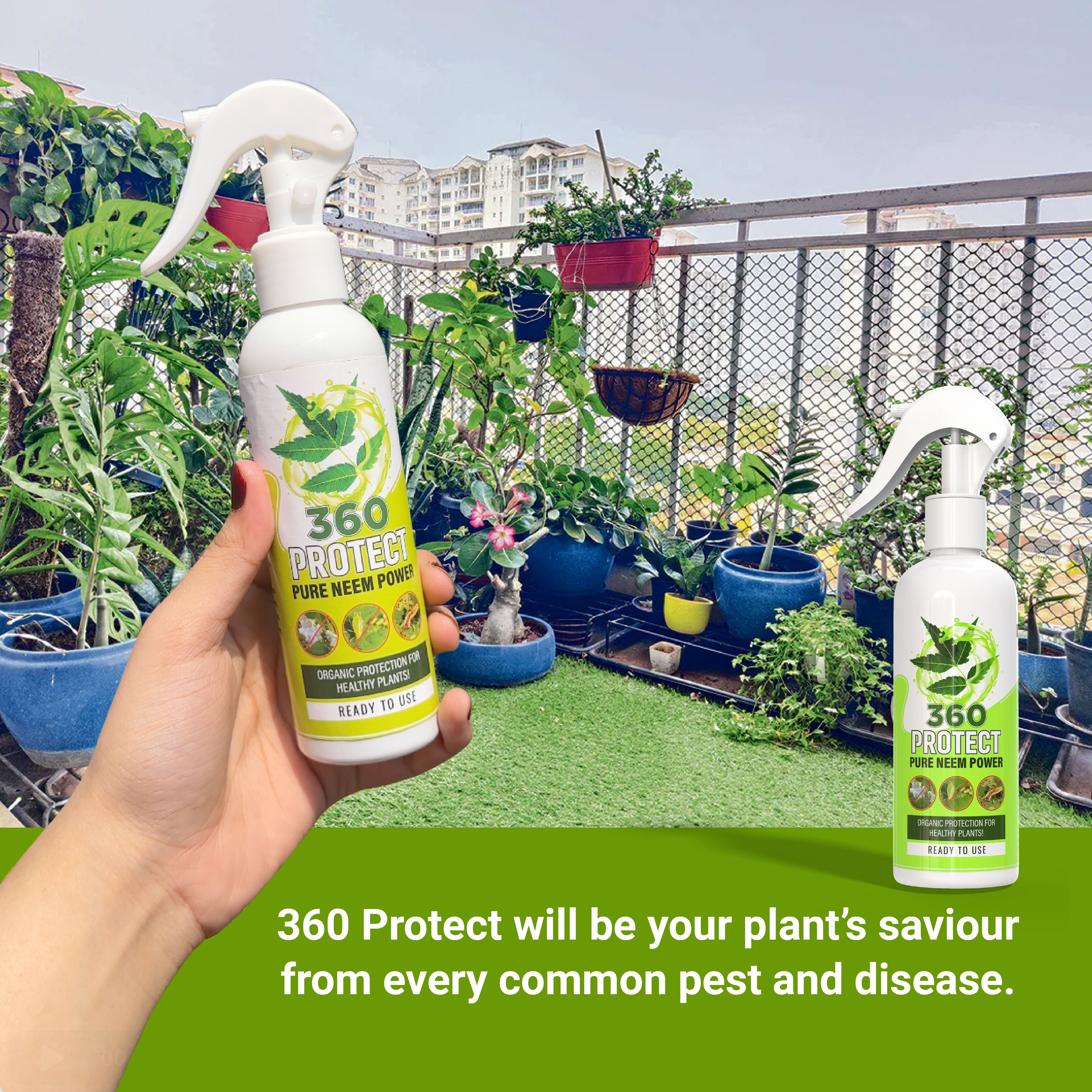 Pure Neem Plant Protection Spray (Pack of 2) | Neem Oil Succulent Plants Herb Plant Trees Plant Protection spray - Pure Neem Plant Protection Spray (Pack of 2)