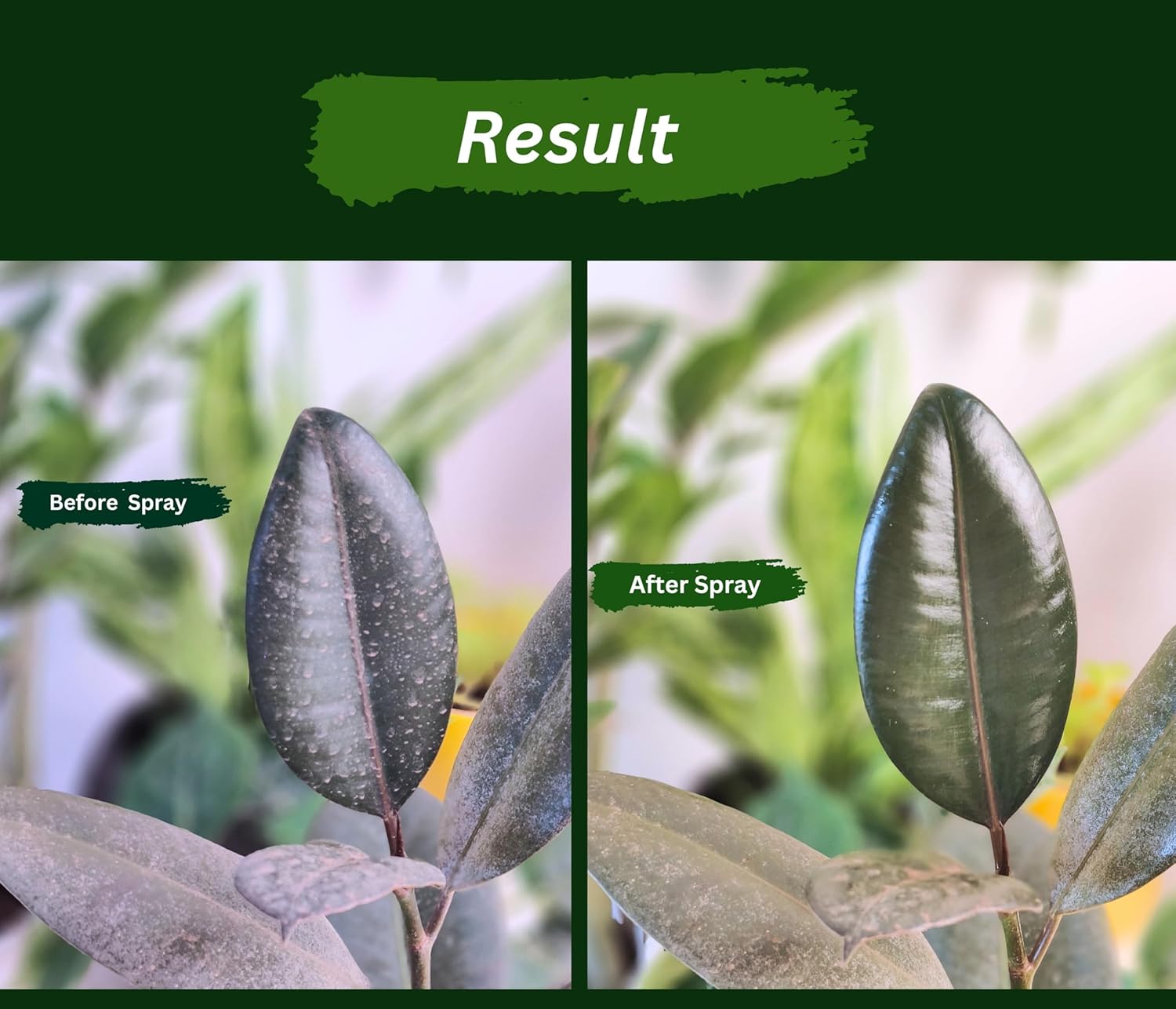 Pure Neem Plant Protection Spray (Pack of 2) | Neem Oil Succulent Plants Herb Plant Trees Plant Protection spray - Pure Neem Plant Protection Spray (Pack of 2)