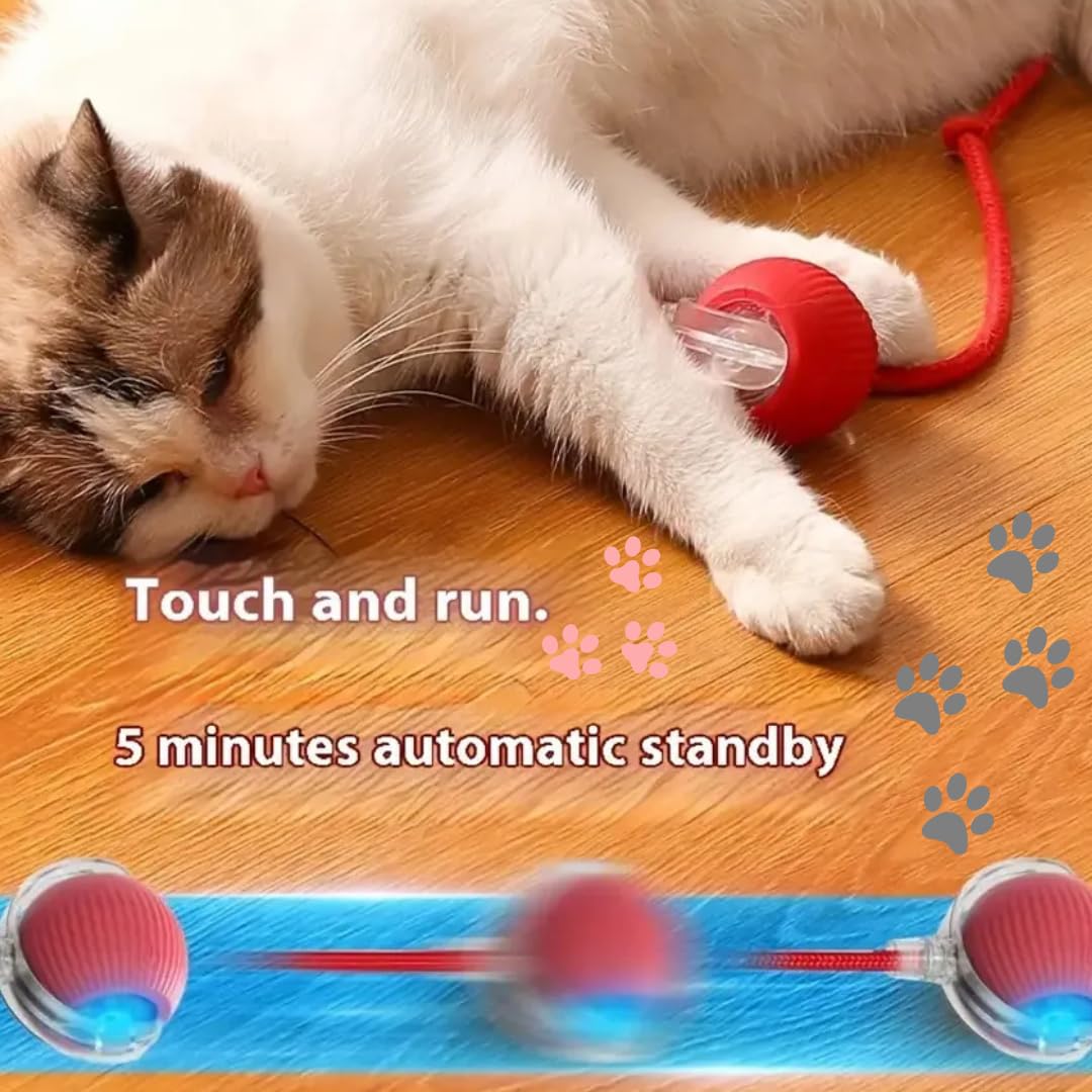 Smart Rolling LED Pet Ball | Cat Toy Catnip Toys For Cats Kitten Balls Accessories Ball Smart Rolling LED Pet Ball