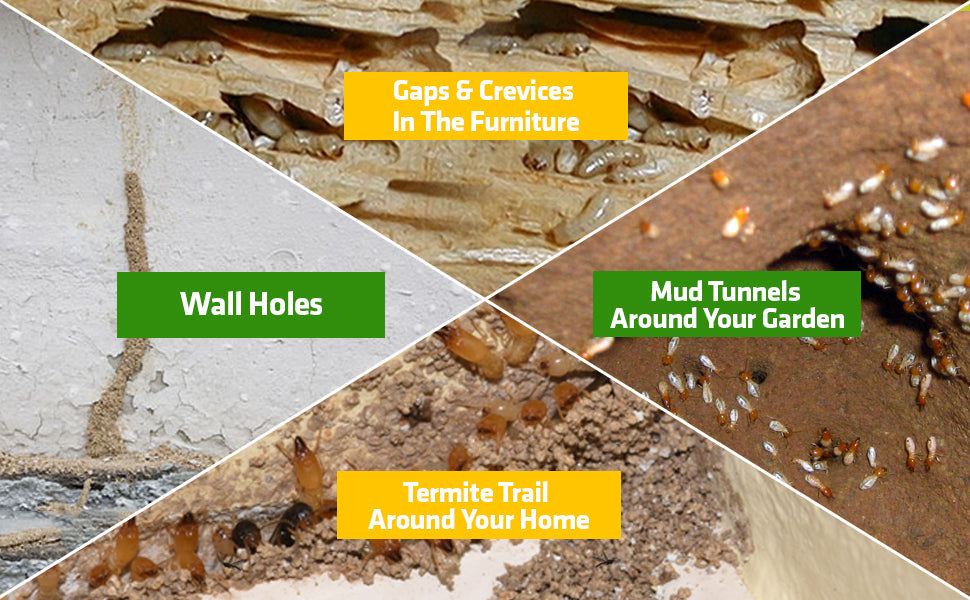 Termite Spray (Pack of 3)