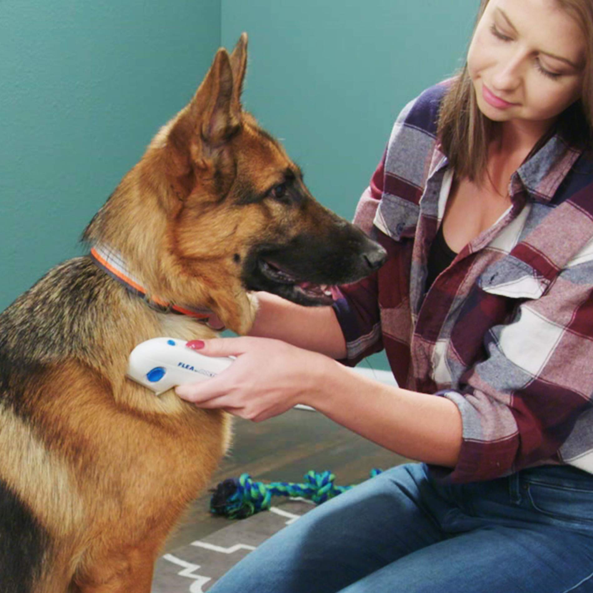 Electric Flea Comb For Dogs Electronic Tick Zapper Electric Flea Comb