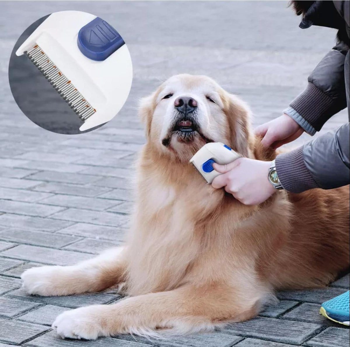 Electric Flea Comb For Dogs Electronic Tick Zapper Electric Flea Comb
