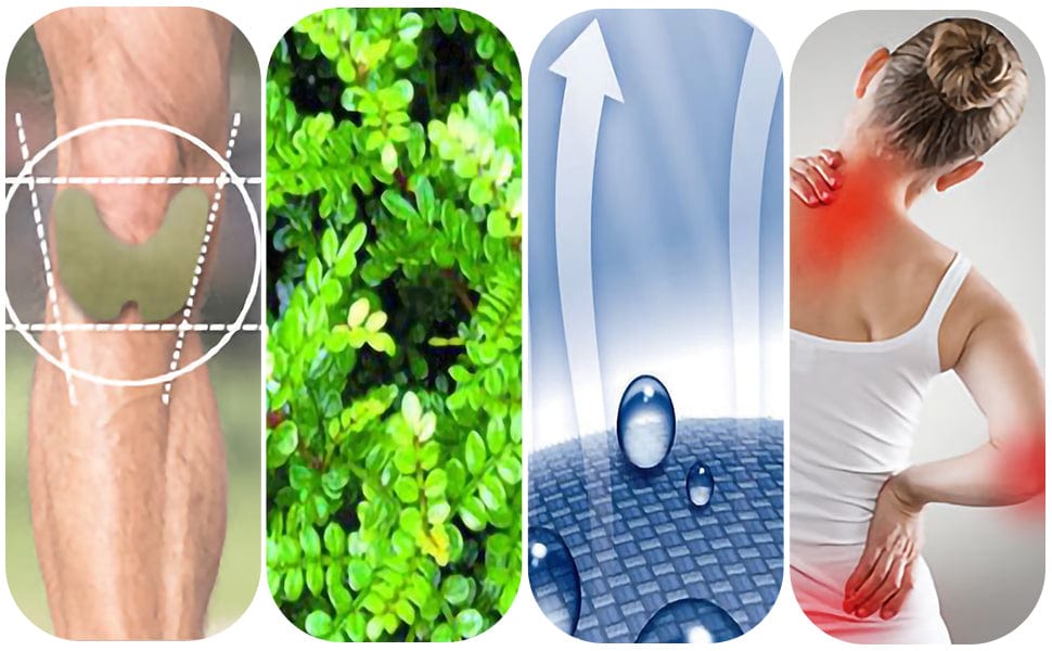 Knee Relief Patch Kit | Knee Joint Pain Relief Patch Sticker Plaster Knee Relief Patch Kit (Pack of 10)