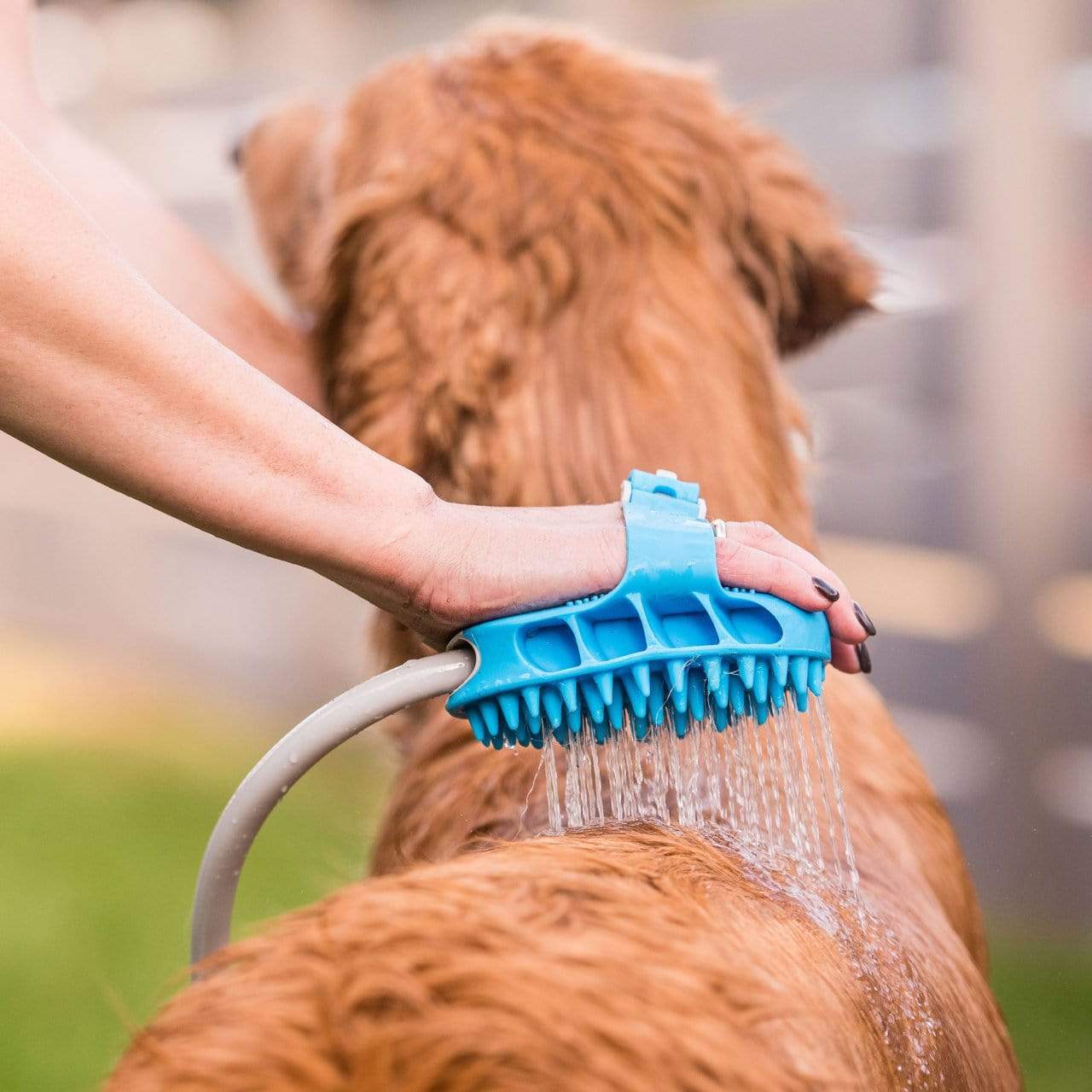 Pet Water Sprayer Dog Bathing Faucet PEt Shower Hose Tool Pet Shower Hose