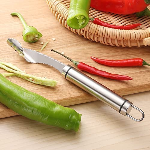 Stainless Steel Chili Corer - Buy 1 Get 1 Free