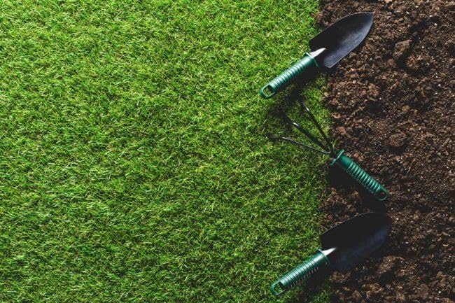 Grassonix All Seasons Grass Seeds (Set of 2)