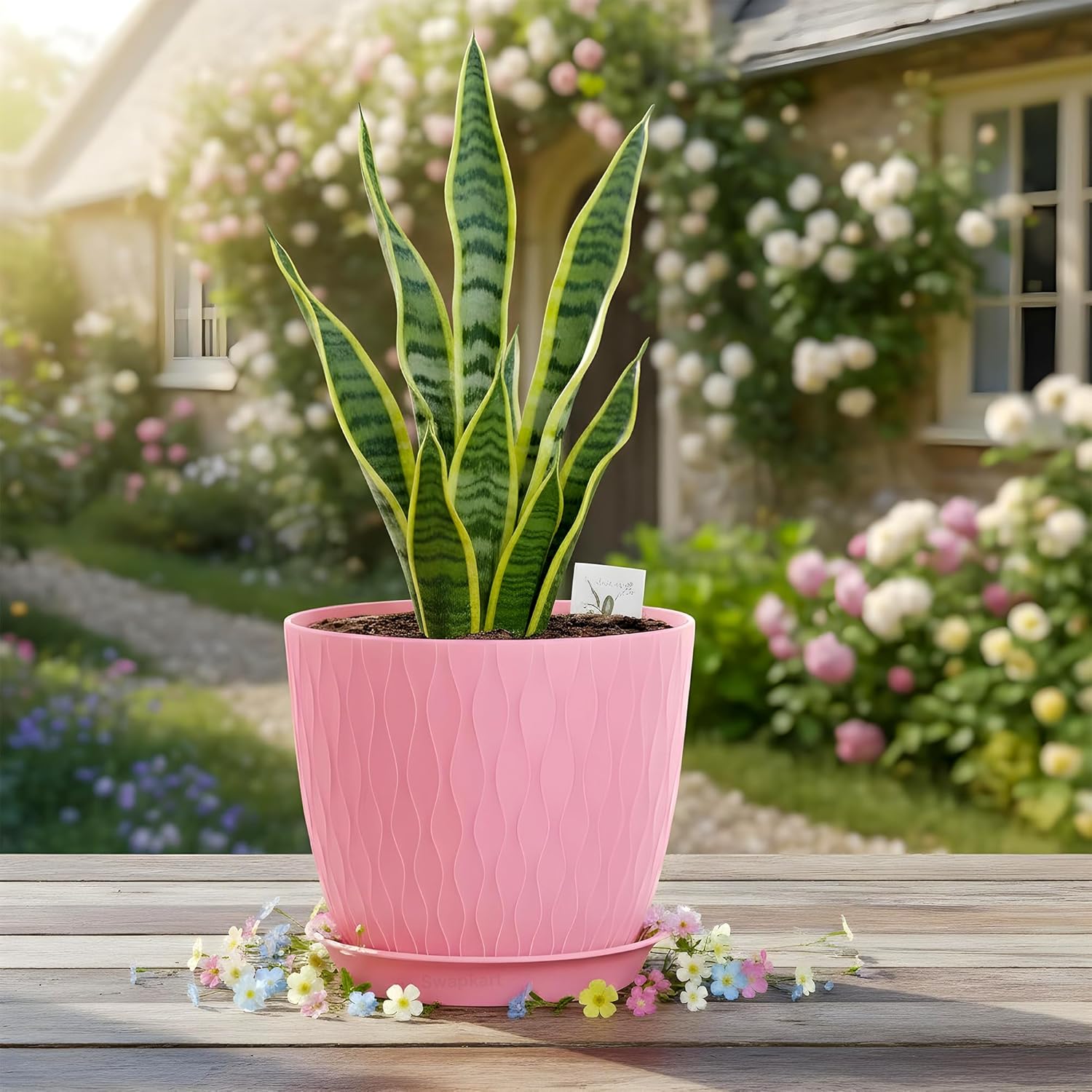 Decorative Flower Pots
