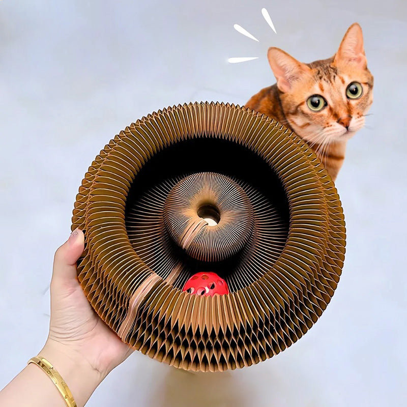Cat Scratch Board