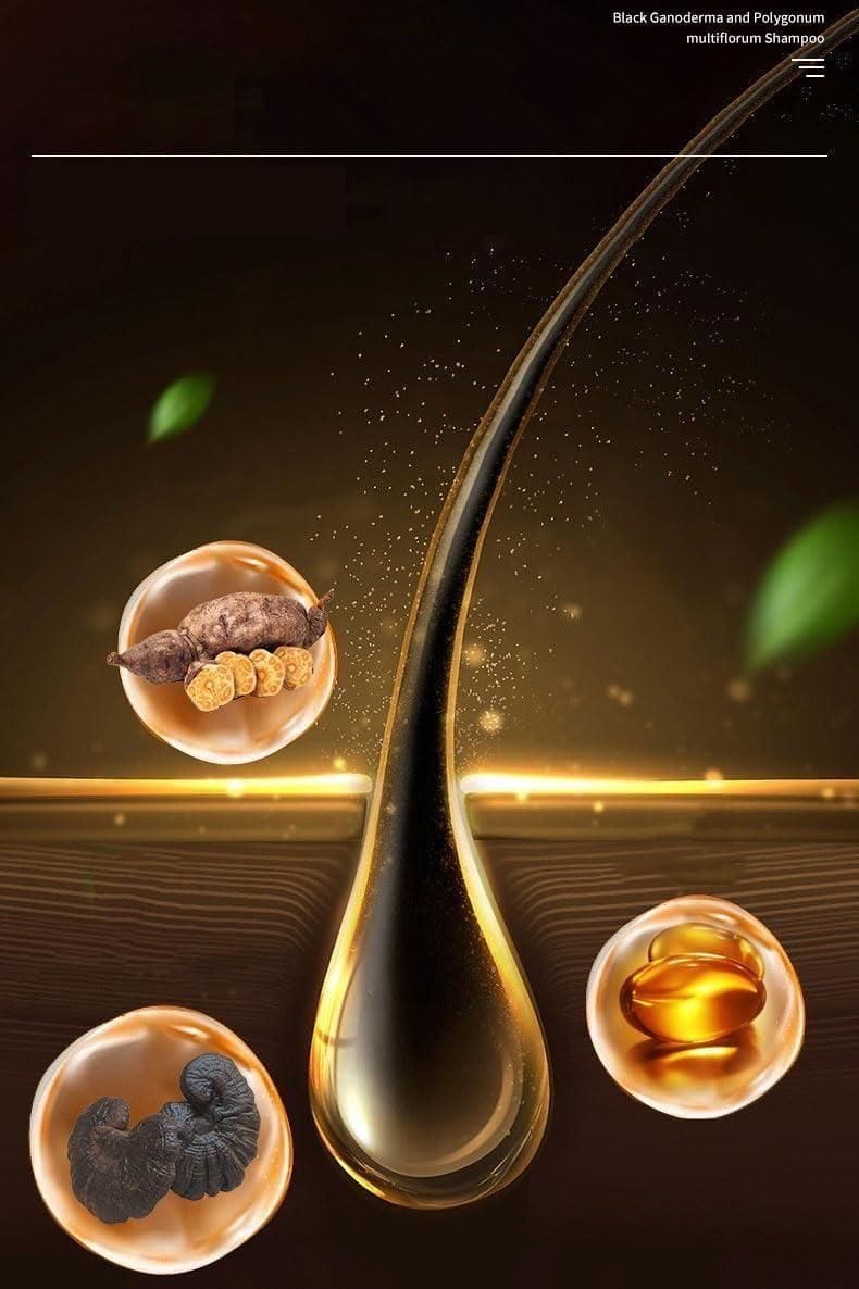 Anti-hairfall Shampoo | Anti Hair Fall Shampoo Hair Growth Ginger Hairex Reduce Hair Loss Ginger Extract Anti-Hairfall Shampoo (Pack of 3)