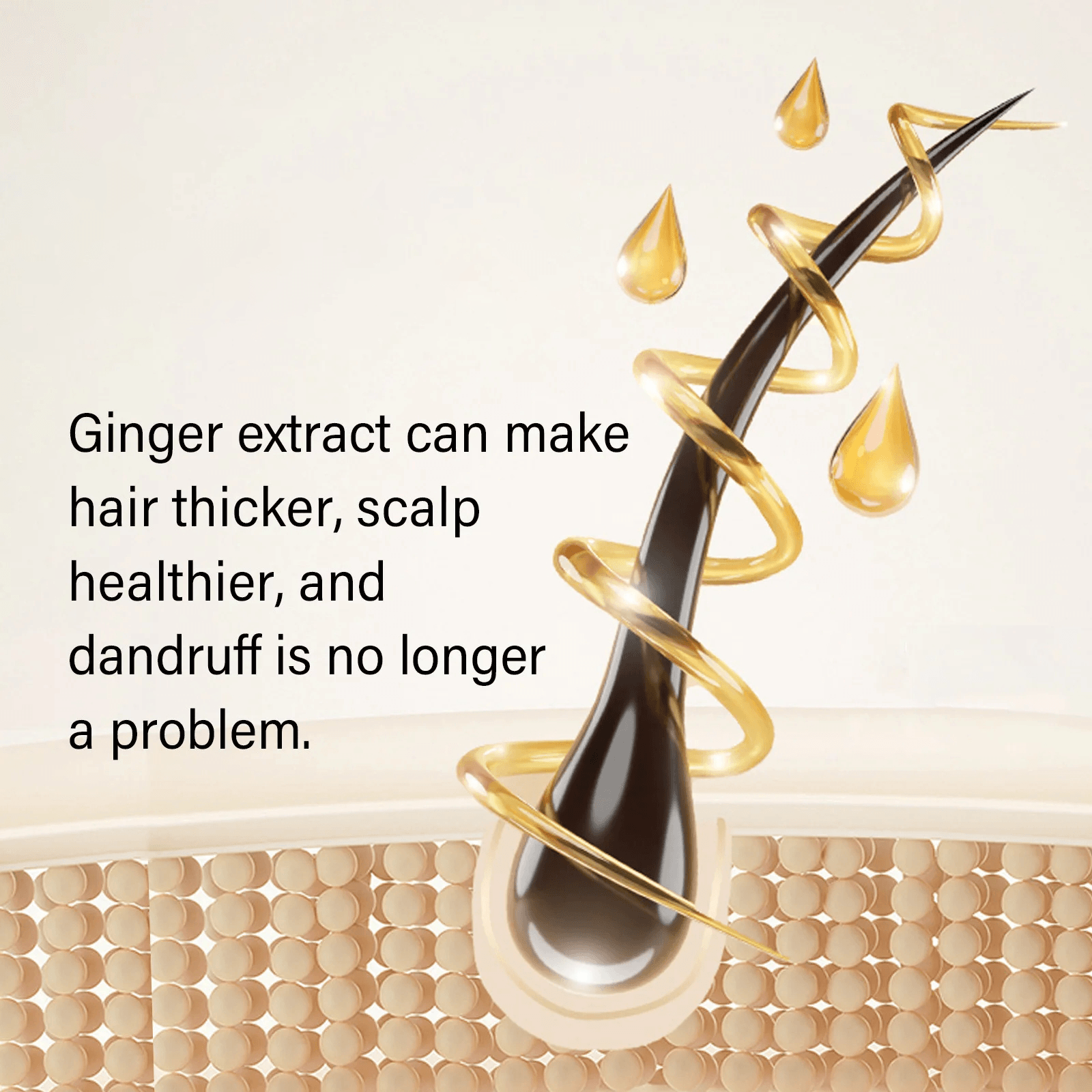 Anti-hairfall Shampoo | Anti Hair Fall Shampoo Hair Growth Ginger Hairex Reduce Hair Loss Ginger Extract Anti-Hairfall Shampoo (Pack of 3)