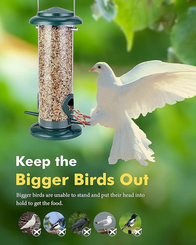Bird Feeder | Houses For Birds Bird Food Water Feeder Pigeon Food Seed  Bird Feeder