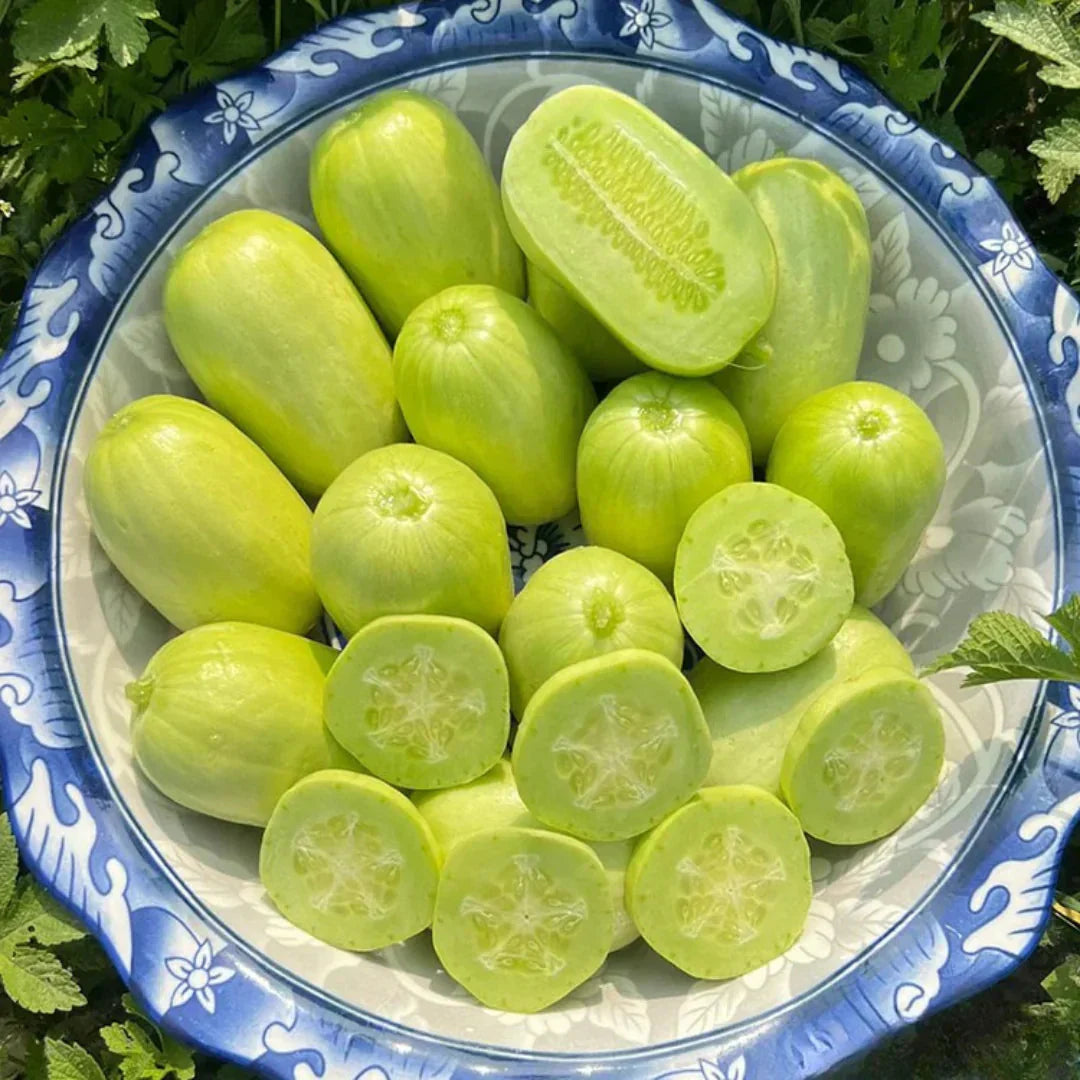 Cucumber Seeds | Jade Plant Succulent Plants Garden Planting Cucumber Seeds Plant Grow - Cucumber Seeds (Pack of 10)