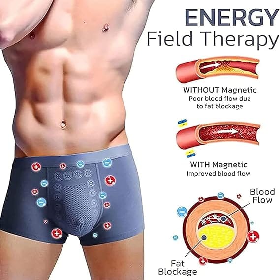 (FreshGuardzy (Set of 3) | Underwear For Men Trunks Under Wear Underclothes Boxers Silk FreshGuardzy Ice Silk Boxers (Set of 3)