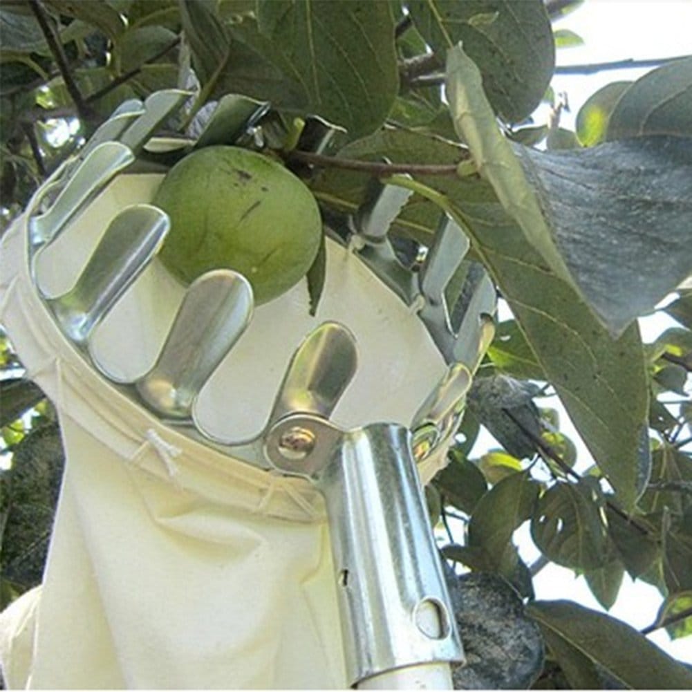 Fruit Picker Cherries Picking Apple Picker Tool Harvest Fruit Fruit Picker