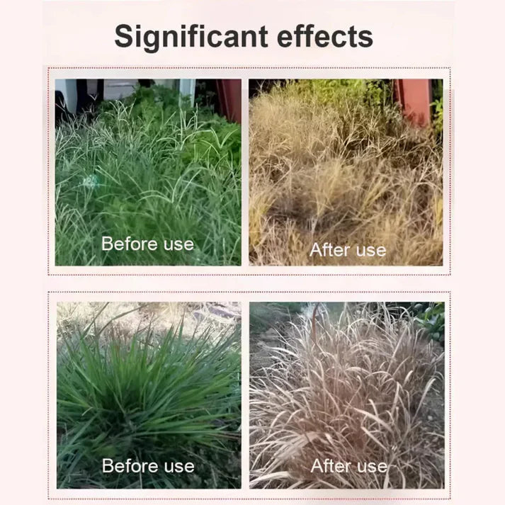 Glufosinate Herbicide | Weeding Plants Control Pre Emergent Herbicide Weed Killer Spray - Glufosinate Herbicide (Pack of 2)