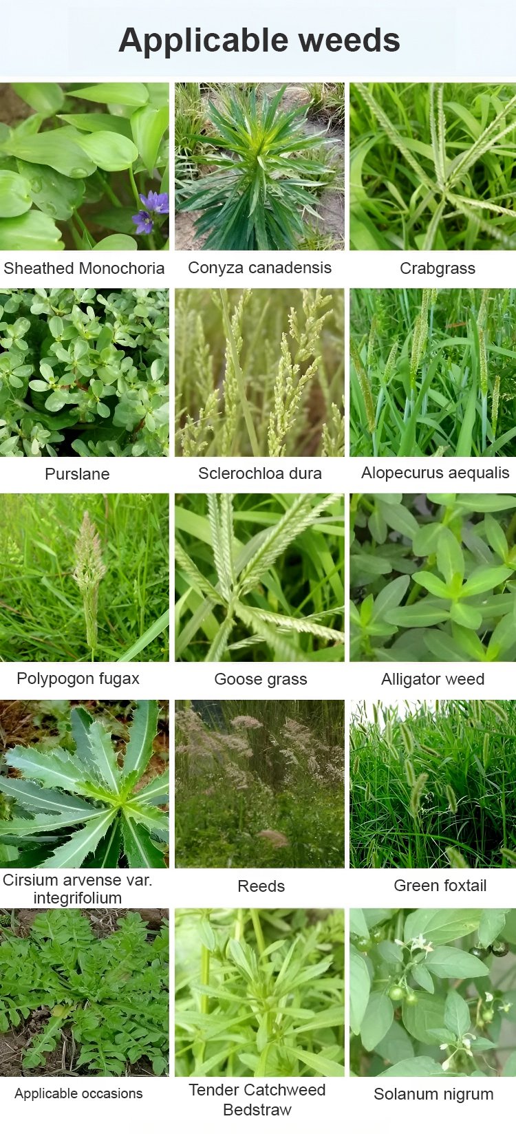 Glufosinate Herbicide | Weeding Plants Control Pre Emergent Herbicide Weed Killer Spray - Glufosinate Herbicide (Pack of 2)