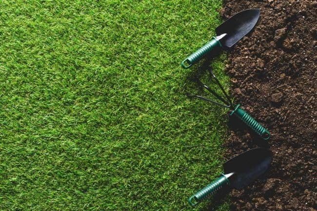 Grassonix (Set of 2) | Germination Seeds Grass Seed Lawn Water Seedling Plantation Grassonix All Seasons Grass Seeds (Set of 2)