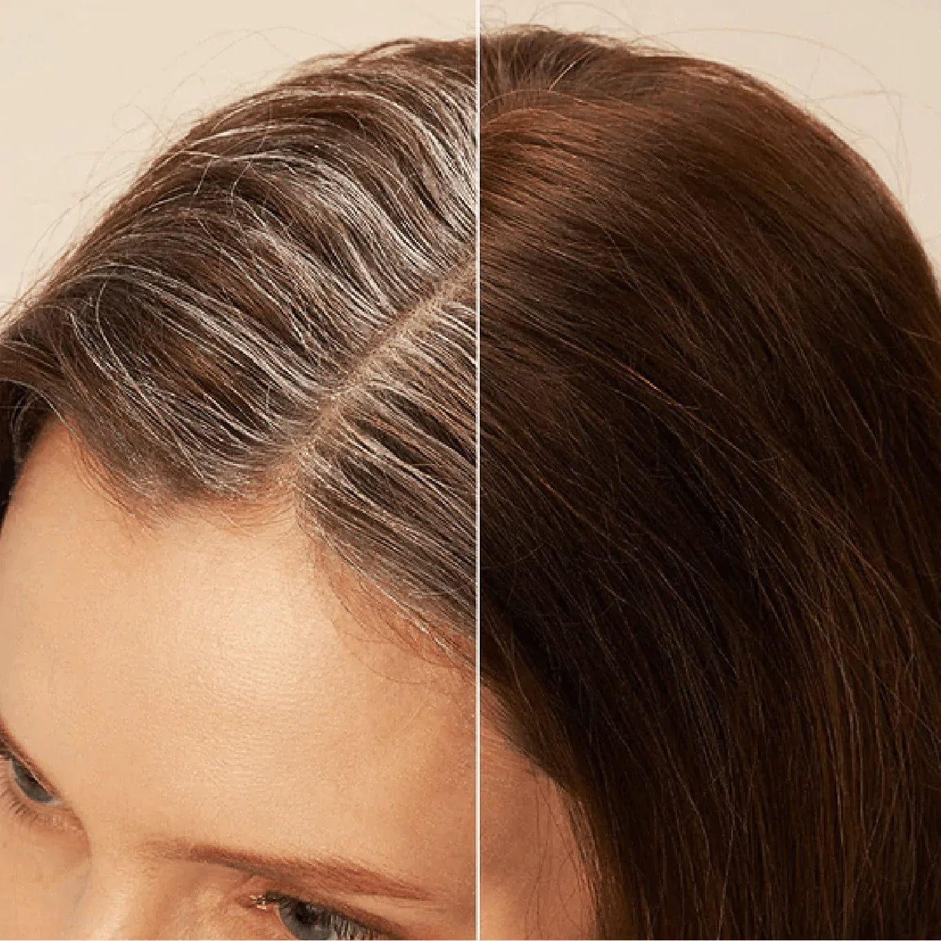 Hair Colour Herbal Shampoo Free Of Chemicals Organic Natural Shampoo - Shampoo Bar Shampoo Bar (Pack of 2)